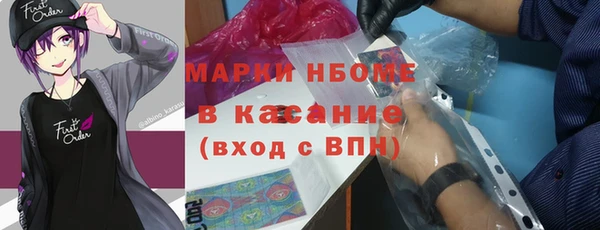 трава Няндома