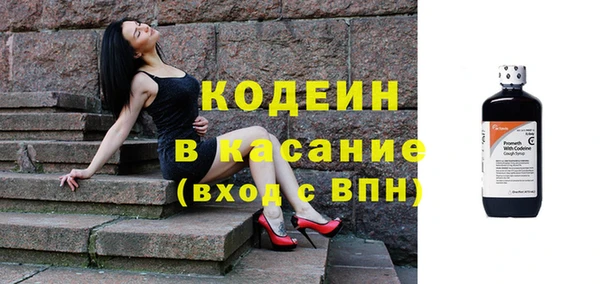 трава Няндома
