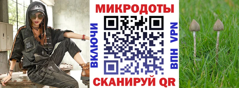 где купить наркотик  Яранск  Галлюциногенные грибы Magic Shrooms 